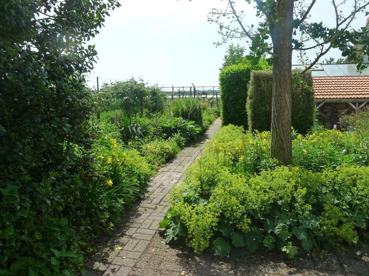 B&B De Kleine Wijngaard Roggel Exterior foto